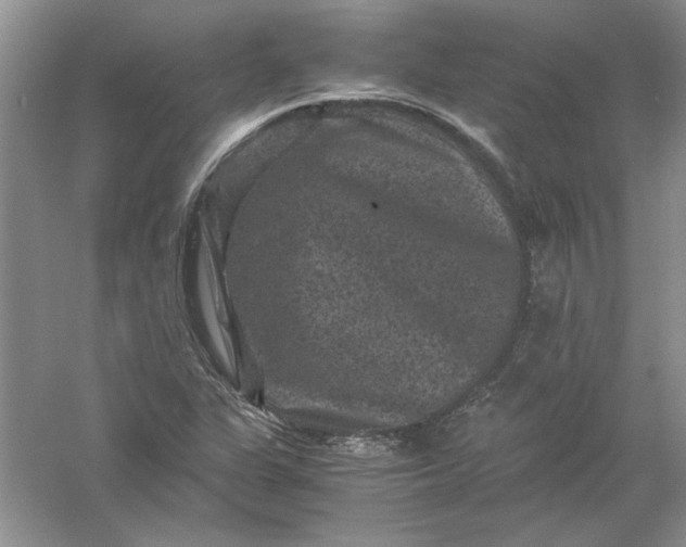 X0000061141311200512022236