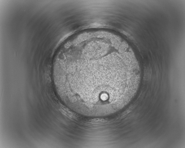 X0000061141314200512022236