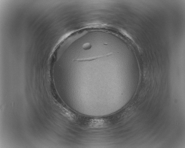 X0000061141315200512022236