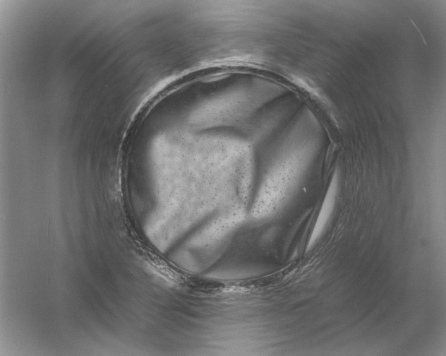 X0000061141316200512022236