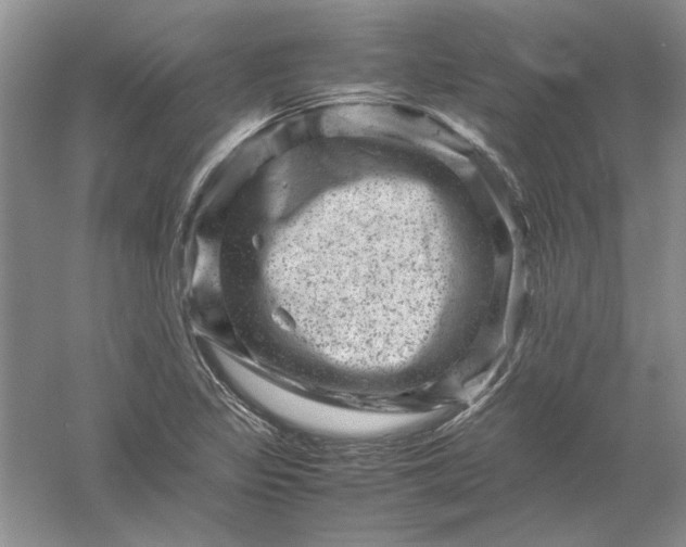 X0000061141317200512022236