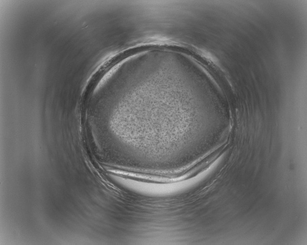 X0000061141318200512022236