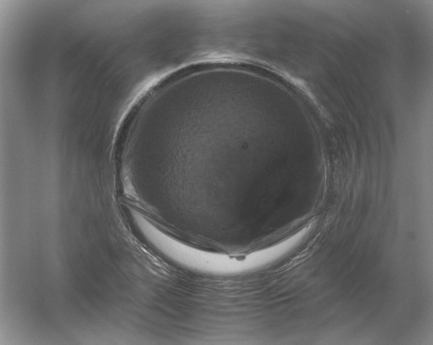 X0000061141319200512022236