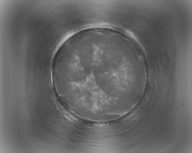 X0000061141320200512022236