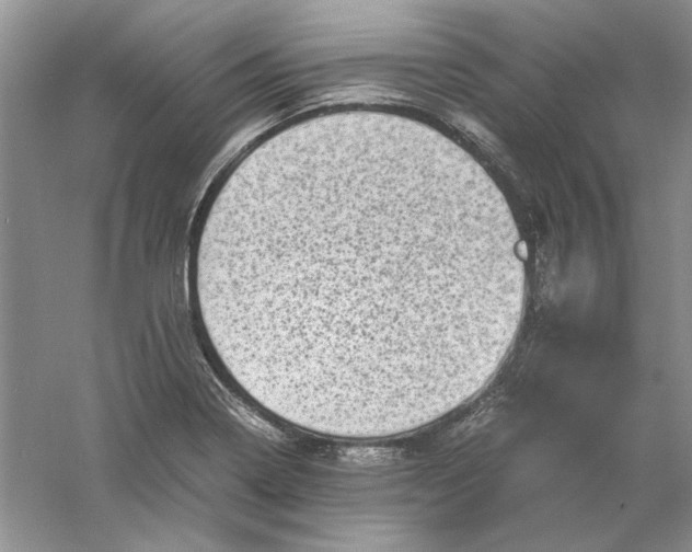 X0000061141322200512022236