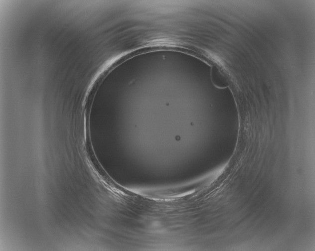 X0000061141323200512022237