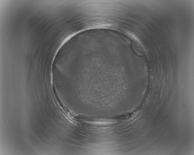 X0000061141324200512022237