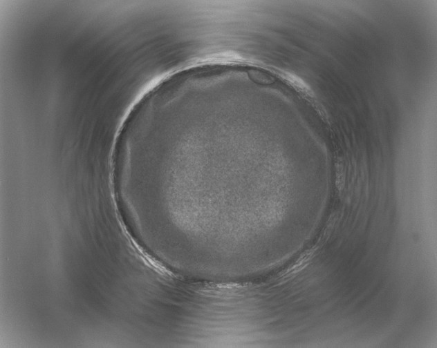 X0000061141326200512022237