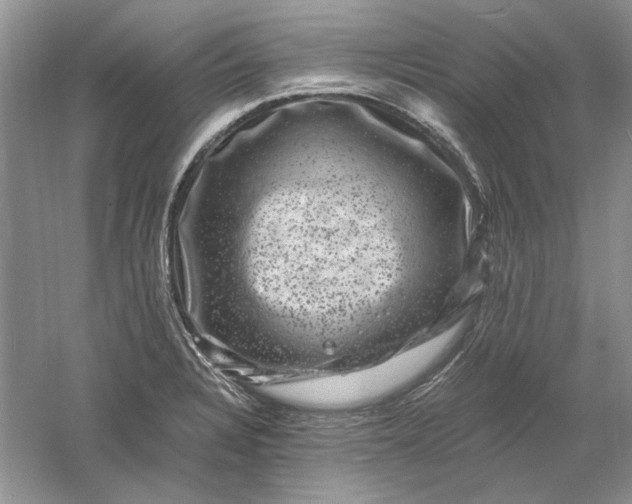 X0000061141328200512022237