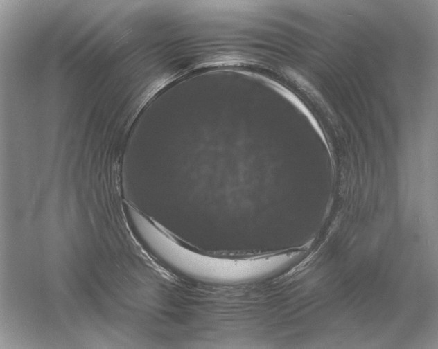 X0000061141329200512022237