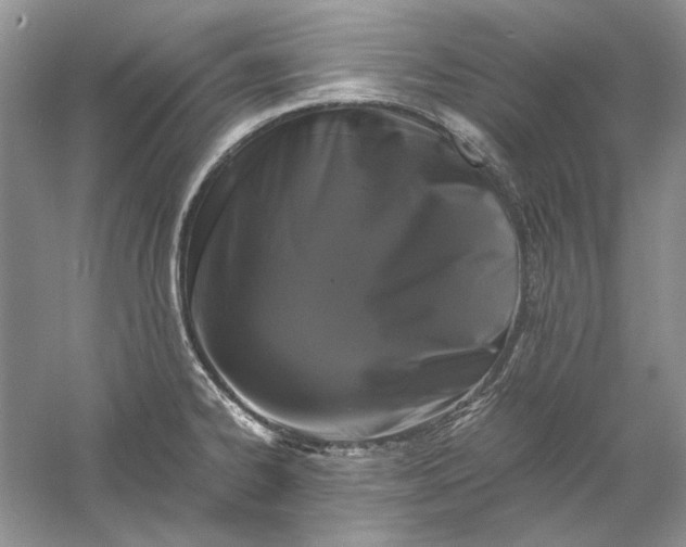 X0000061141334200512022237