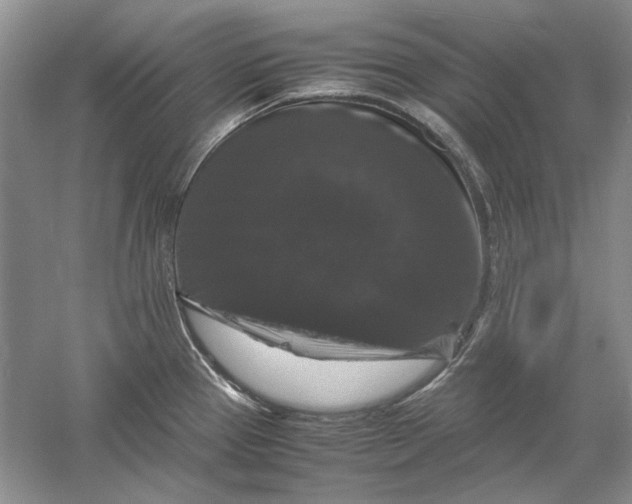 X0000061141337200512022237