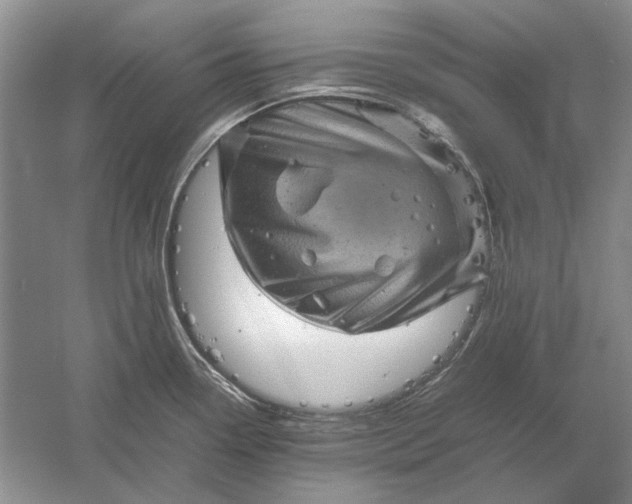 X0000061141338200512022237