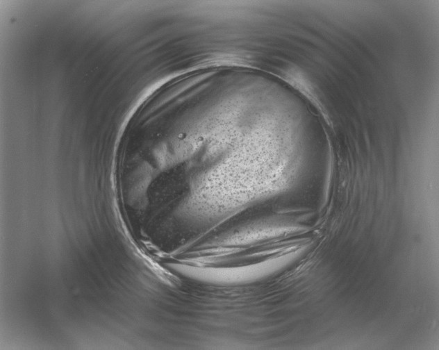 X0000061141339200512022237