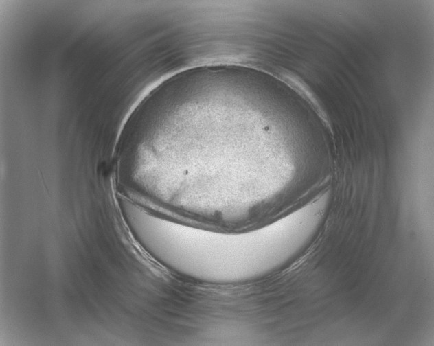 X0000061141340200512022237