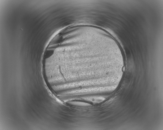 X0000061141341200512022237