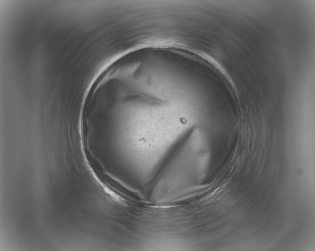 X0000061141343200512022237