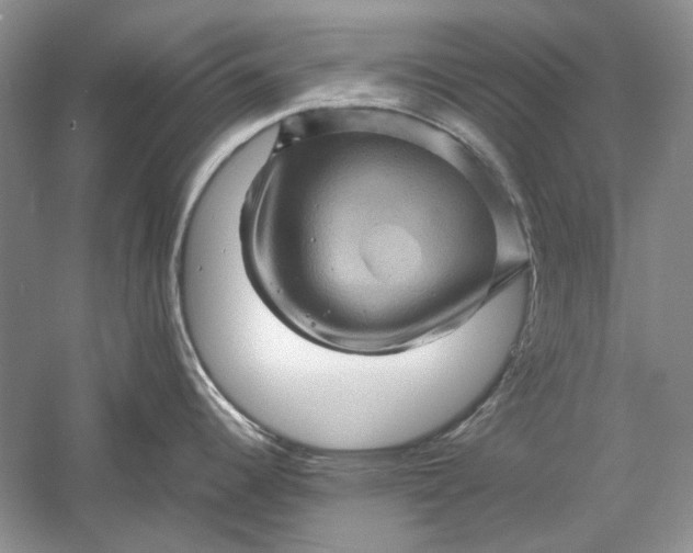 X0000061141344200512022237