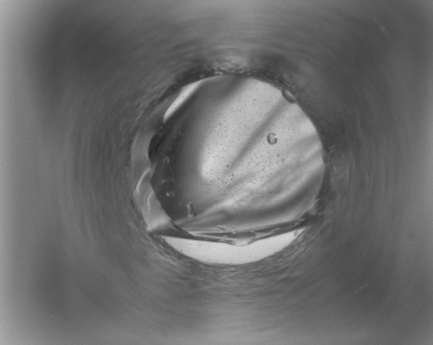 X0000061141345200512022236