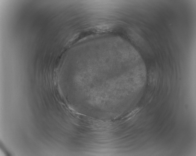 X0000061141346200512022236