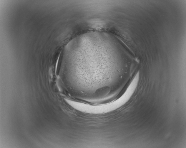 X0000061141347200512022236