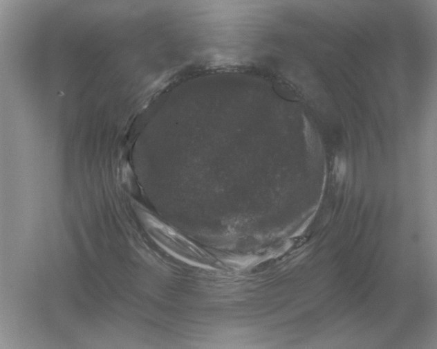 X0000061141348200512022236