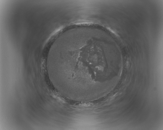 X0000061141351200512022236