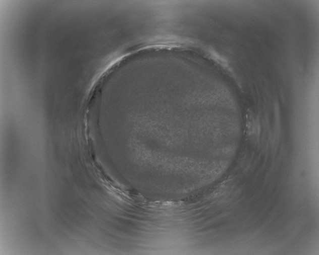 X0000061141352200512022236