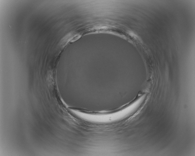 X0000061141353200512022236