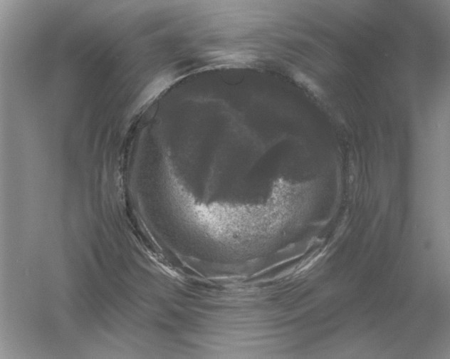 X0000061141354200512022236