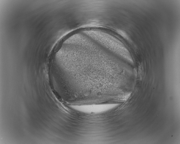 X0000061141356200512022236