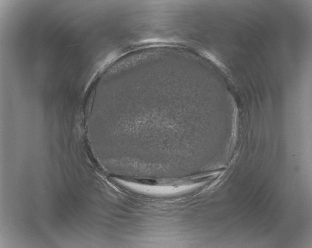 X0000061141357200512022236