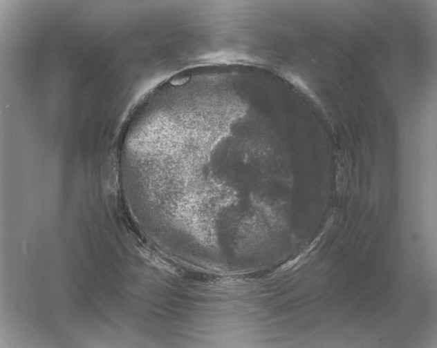 X0000061141358200512022236