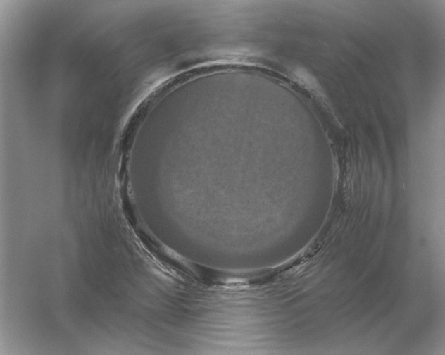 X0000061141360200512022236