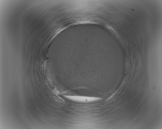 X0000061141361200512022236