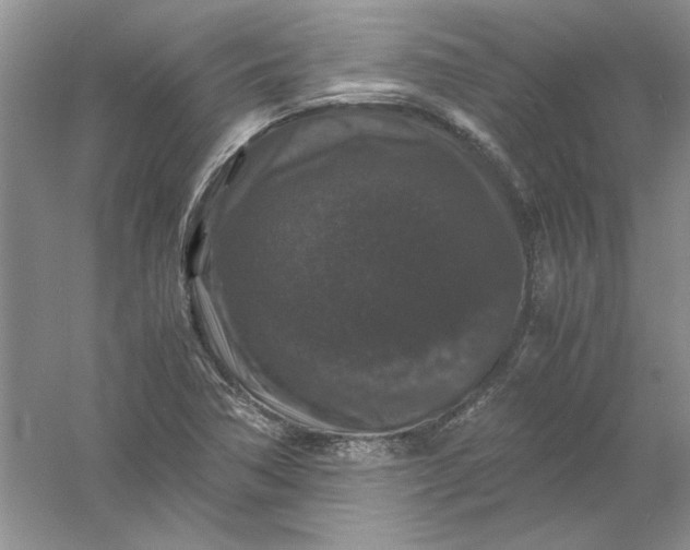 X0000061141362200512022236