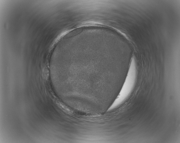 X0000061141363200512022236