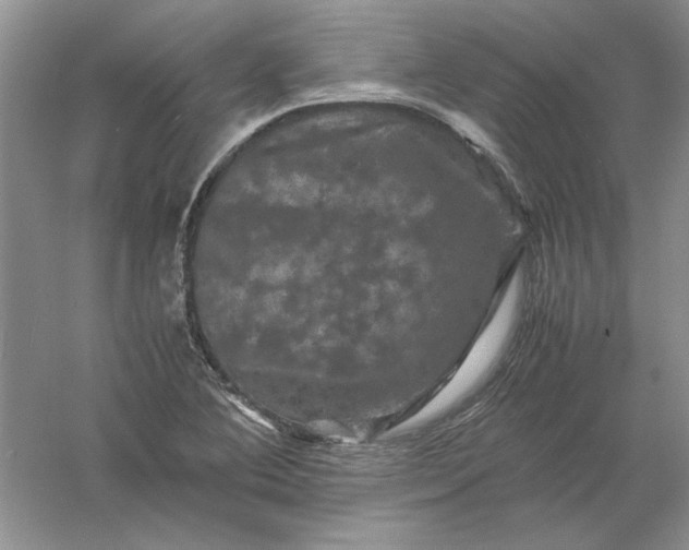 X0000061141364200512022236