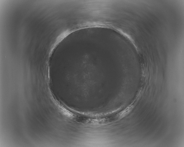 X0000061141365200512022236