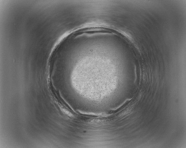 X0000061141366200512022236