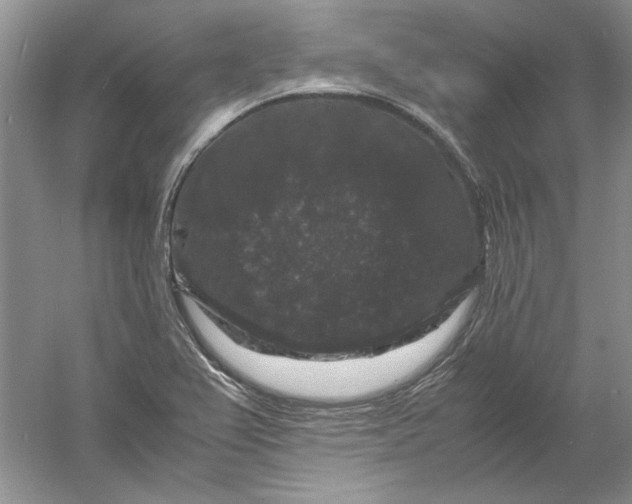 X0000061141367200512022236