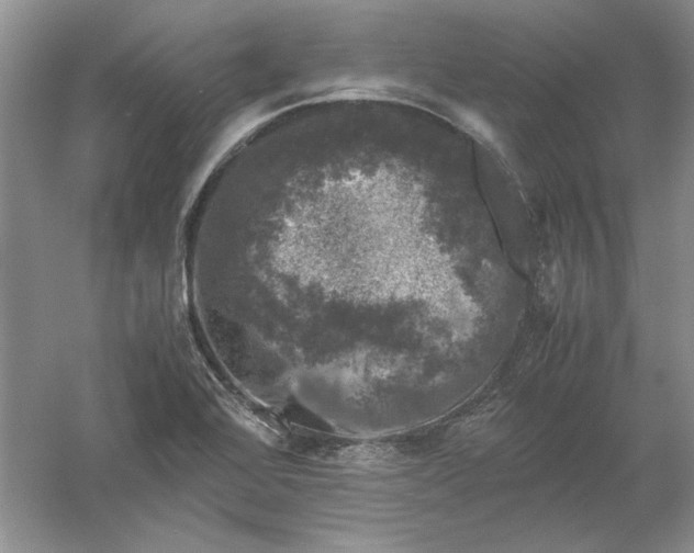 X0000061141368200512022236