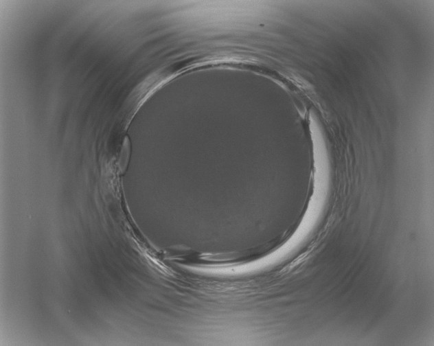 X0000061141369200512022236