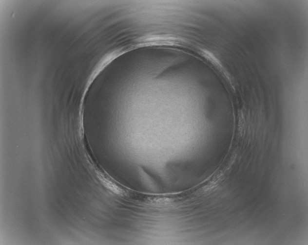 X0000061141370200512022236