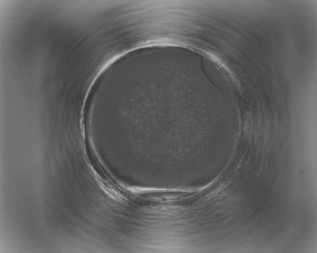 X0000061141372200512022236