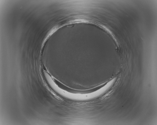 X0000061141373200512022236