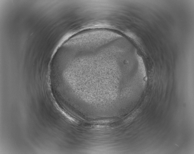 X0000061141374200512022236