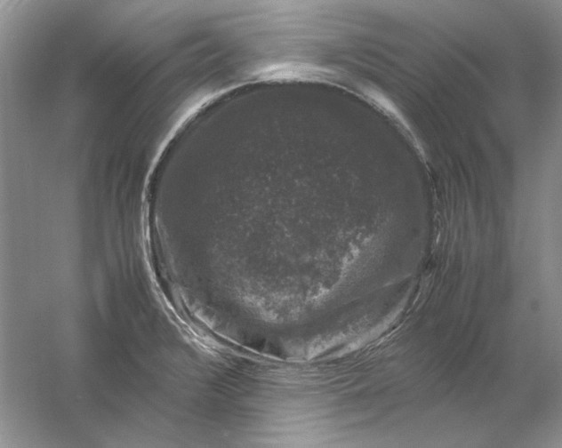 X0000061141376200512022236