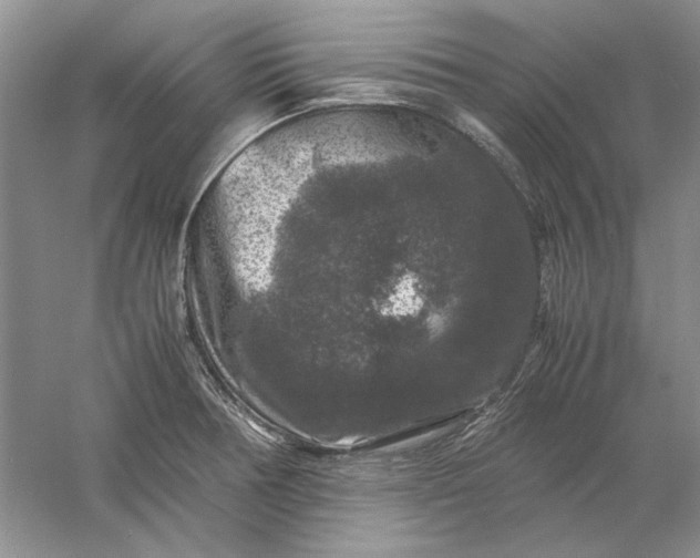 X0000061141378200512022235