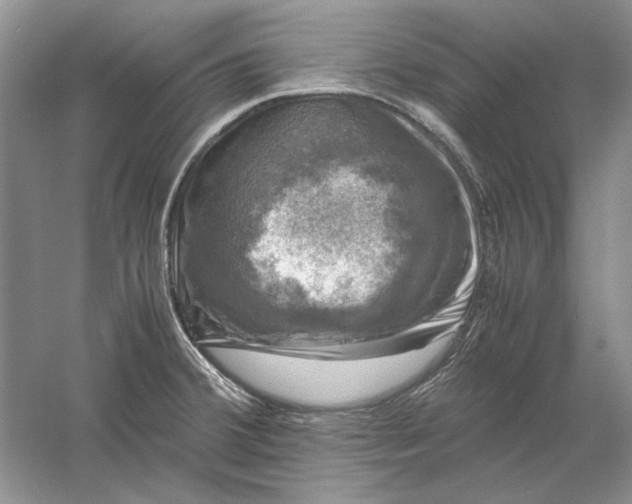 X0000061141380200512022235